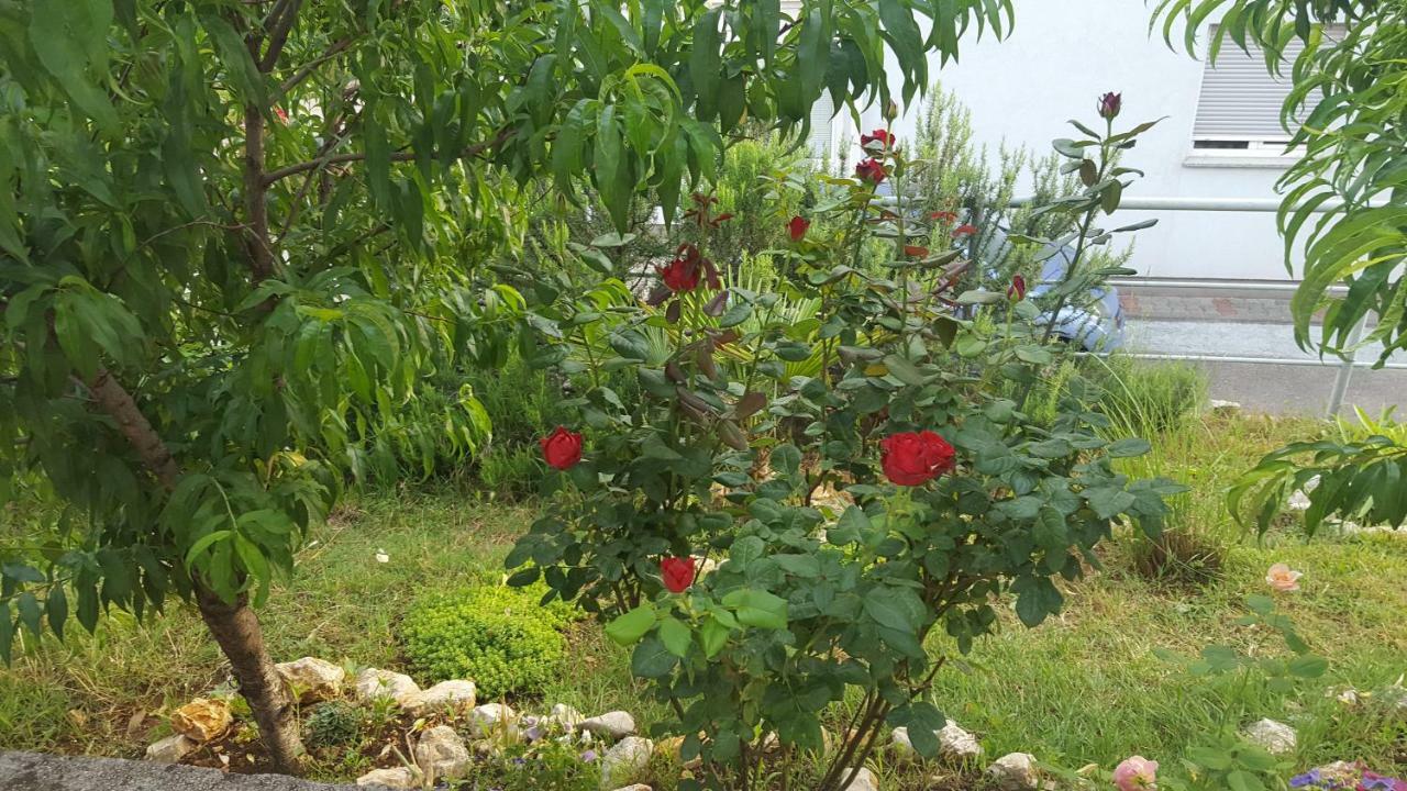 شقة Ana كوسترينا المظهر الخارجي الصورة